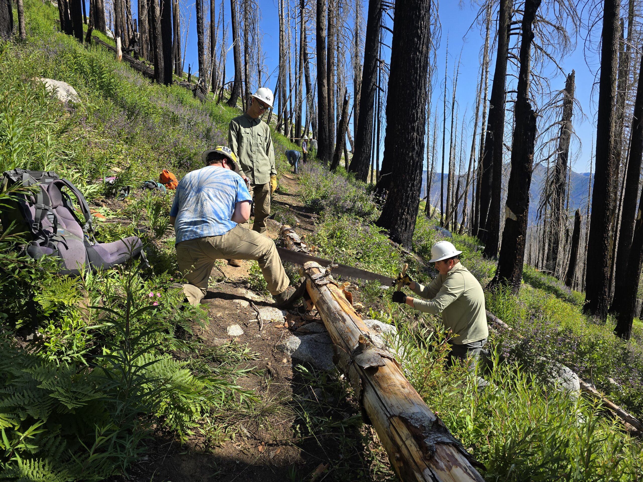 Ascend volunteers completing trail stewardship work